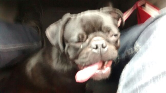 amackdaddy's profile picture. 