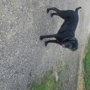 Robert Spehar - @spehar_wood - Twitter