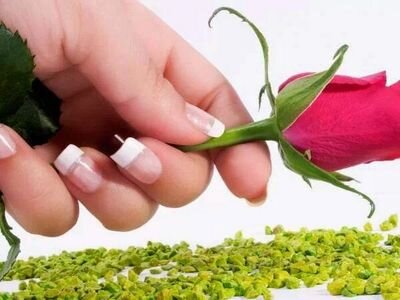 ‏‏روائع الصور