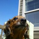 Heather Edington - @mrmrsedington - Twitter