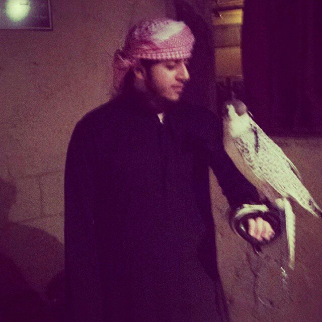 royaltitan1666's profile picture. 