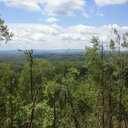 Andy Vance - @real_Andy_Vance - Twitter