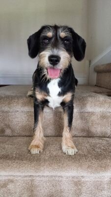 achance007's profile picture. 