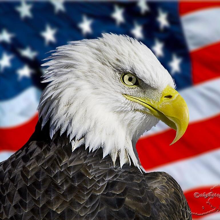 Statistics that are 89% USA and 11% freedom-based substitute