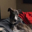 Heather Perkins - @heatherperk1 - Twitter