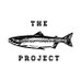 The Salmon Project (@aksalmonproject) Twitter profile photo