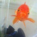 andy griff - @hesajaffa - Twitter