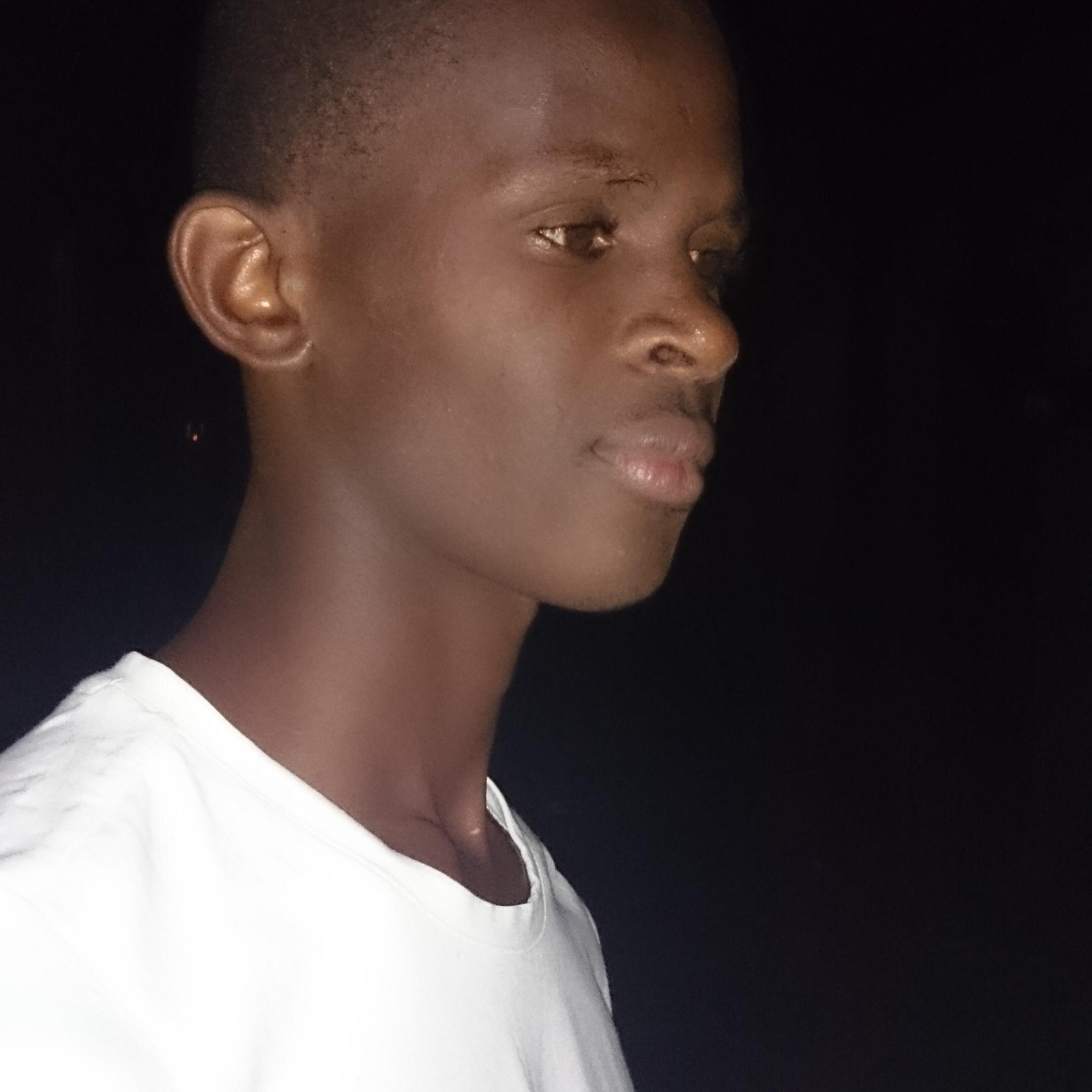 elbako5's profile picture. 