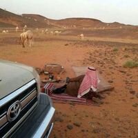 AlexChen (@alexchenhome) 's Twitter Profile