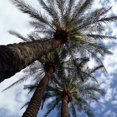 aaryntenn18's profile picture. Broncos/Blackhawks/Argentina