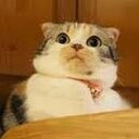 juan carlos partida - @juanitto188 - Twitter