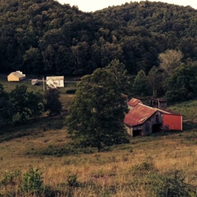 tough_cowgirl's profile picture. Just a southern girl trying to make it in this crazy world. Avi and cover are pictures I took of my ranch!!!