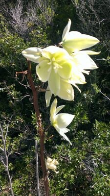 PatriciaGH1001's profile picture. 