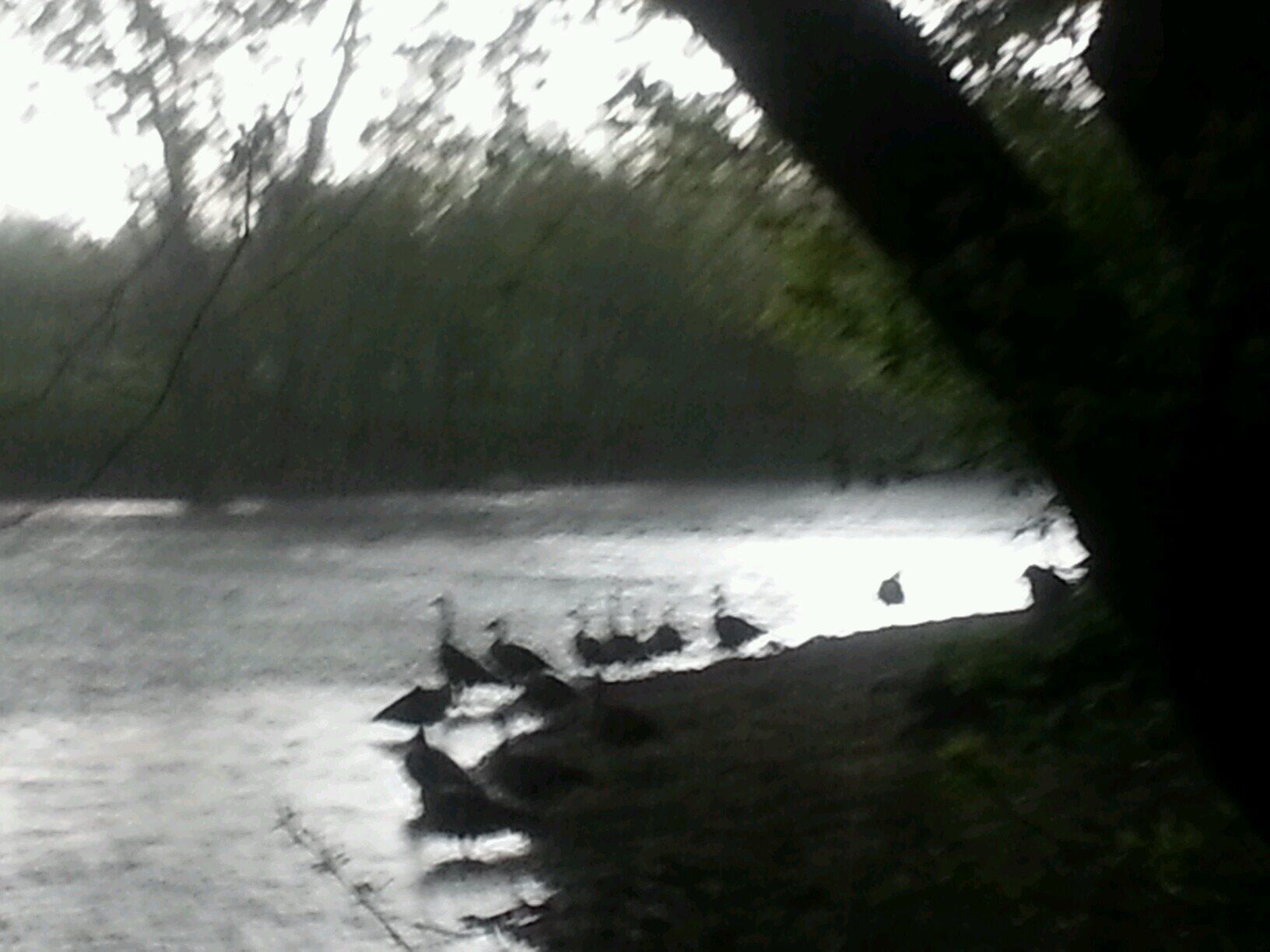 lmao281's profile picture. (Alternative Rock Band)