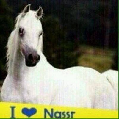 emadtg1 Profile Picture