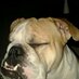 Javier Saldaña (@azrael257javier) Twitter profile photo