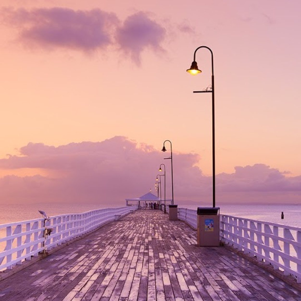 aikonadyash's profile picture. 