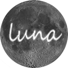 LunaAcademy's profile picture. Luna is an open-source Space Academy: a free, open, collaborative curriculum-generation platform built around space projects.