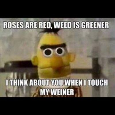 Sarge1024's profile picture. 