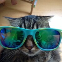 kiersten oliver (@kierkier980) 's Twitter Profile