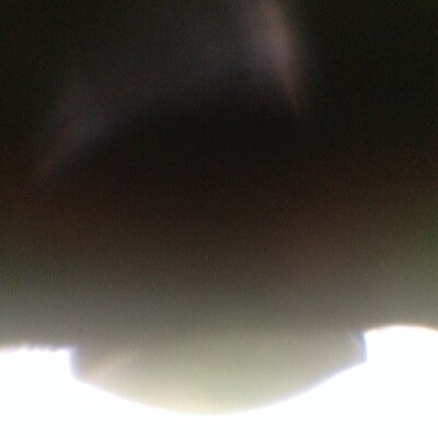 AlfredoaArceo's profile picture. sembrador