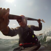 Phil Allen, PhD (@pallen661) 's Twitter Profile