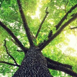 norixxnori's profile picture. 