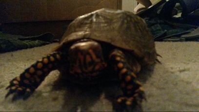 Matthew20234's profile picture. 