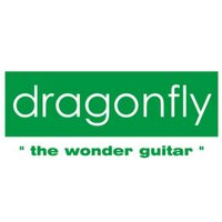 dragonfly guitar(@dragonflyguitar) 's Twitter Profile Photo