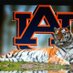 John S. Fendley (@au2010nc) Twitter profile photo