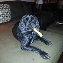 Terri Frank - @TerriFrank88 - Twitter