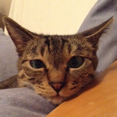 「どんな１本でも映画からは何かを学べる」「つまらない映画などない。映画と出会うにふさわしい”時”があるだけ」