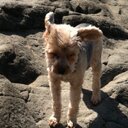 Stephanie Glasgow - @stephyg1030 - Twitter