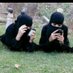 صنعاني دلع  (@nabeeel205) Twitter profile photo