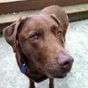 Melissa Buffington - @MorningGloryRN - Twitter