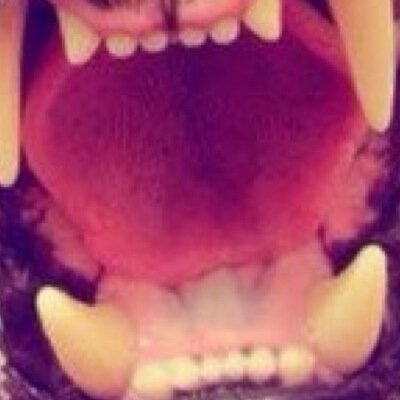 Rien de mieux que de regrder mes tweets #teamriendemieux ✌