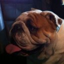 fabiola murillo - @fabimurillo5 - Twitter