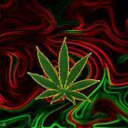 Ray Mccarter - @MccarterRay - Twitter