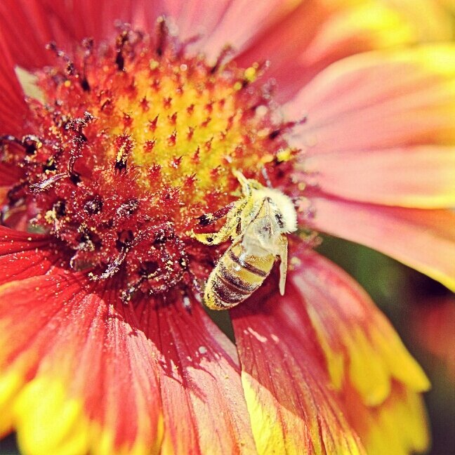 Pro amature photographer