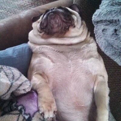 TheHunterRudd23's profile picture. 