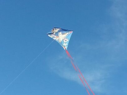 AngelReida's profile picture. 