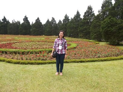 tiurmajp's profile picture. 