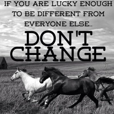 klvaira's profile picture. 