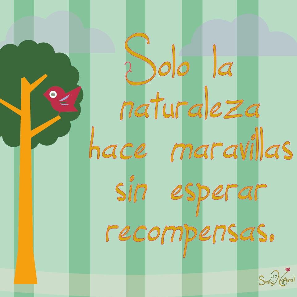 Esta página te mantendrá al día de todo lo que acontece en el ecosistema, con la intención de guiarte hacia una vida sana, eco-sustentable y responsable.