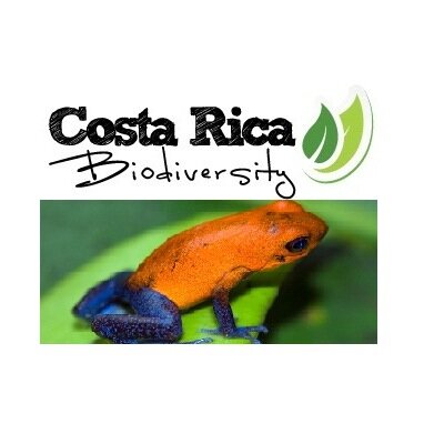 Agencia de viajes & Tour Operador en Costa Rica, especilizado en viajes familiares, aventura, ecoturismo y estudiantes.