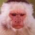 Daniel Rocchi (@danielrocchi67) Twitter profile photo Daniel Rocchi (@danielrocchi67) Twitter profile photo