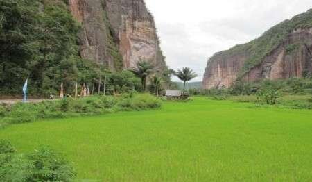 jika kmu dilempar batu oleh seseorang, janganlah melempar balik kpdnya. Balaslah dengan senyuman dan lempar bunga kpdnya.. Tapi usahakan potnya ikut terlempar