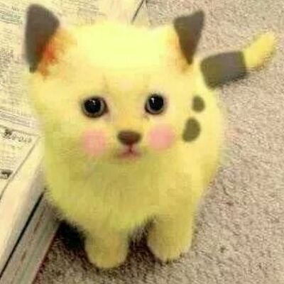 the1firebeast's profile picture. 