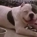 Candy Nash - @candynash123 - Twitter