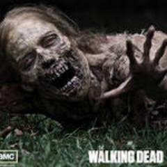 Lots of the Walking Dead stuff. News, quotes, episode parts. Stay tuned!!